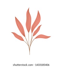 branch with leaves on white background