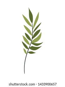 branch with leaves on white background