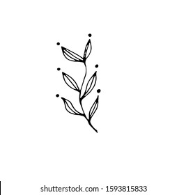 Branch with leaves on white background vector illustration. Doodle style. Design icon, print, logo, poster, symbol, decor, textile, paper, card. Tattoo desing.