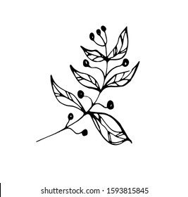 Branch with leaves on white background vector illustration. Doodle style. Design icon, print, logo, poster, symbol, decor, textile, paper, card. Tattoo desing.