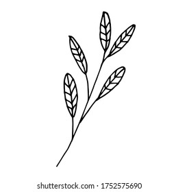 Branch with leaves on white background vector illustration. Doodle style. Design icon, print, logo, poster, symbol, decor, textile, paper, card. 