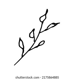 Una rama con hojas sobre un fondo blanco, un elemento al estilo del doodle, una ramita con hojas, un libro de colores. Ecologo, línea de dibujo manual para niños, primavera, verano, otoño. Diseño de vectores.