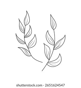Una rama con hojas sobre un fondo blanco, estilo doodle, un solo elemento dibujado a mano, coloración botánica
