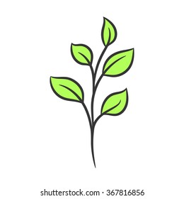 branch with leaves on a white background