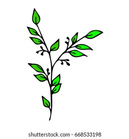 Branch with leaves on white background vector illustration. Doodle style. Design icon, print, logo, poster, symbol, decor, textile, paper, card. 