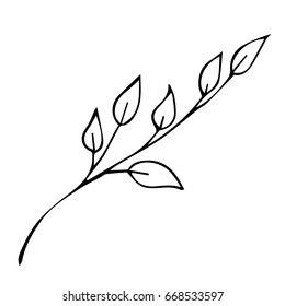 Branch with leaves on white background vector illustration. Doodle style. Design icon, print, logo, poster, symbol, decor, textile, paper, card. 