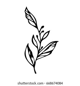 Branch Leaves On White Background Vector Stock Vector (Royalty Free ...