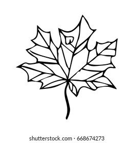 Branch with leaves on white background vector illustration. Doodle style. Design icon, print, logo, poster, symbol, decor, textile, paper, card. 