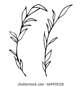 Branch with leaves on white background vector illustration. Doodle style. Design icon, print, logo, poster, symbol, decor, textile, paper, card. 