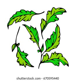 Branch with leaves on white background  illustration. Doodle style. Design icon, print, logo, poster, symbol, decor, textile, paper, card. 