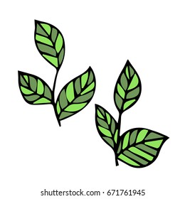 Branch with leaves on white background vector illustration. Doodle style. Design icon, print, logo, poster, symbol, decor, textile, paper, card. 