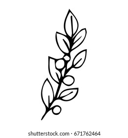 Branch with leaves on white background vector illustration. Doodle style. Design icon, print, logo, poster, symbol, decor, textile, paper, card. 