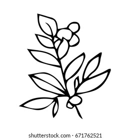 Branch with leaves on white background vector illustration. Doodle style. Design icon, print, logo, poster, symbol, decor, textile, paper, card. 