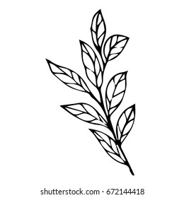 Branch with leaves on white background vector illustration. Doodle style. Design icon, print, logo, poster, symbol, decor, textile, paper, card. 