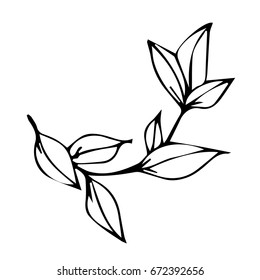 Branch with leaves on white background vector illustration. Doodle style. Design icon, print, logo, poster, symbol, decor, textile, paper, card. 