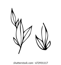 Branch with leaves on white background vector illustration. Doodle style. Design icon, print, logo, poster, symbol, decor, textile, paper, card. 