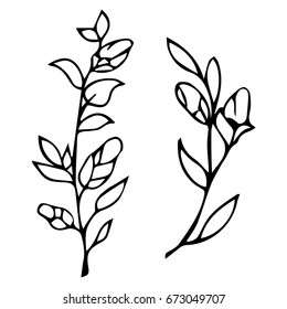 Branch with leaves on white background vector illustration. Doodle style. Design icon, print, logo, poster, symbol, decor, textile, paper, card. 