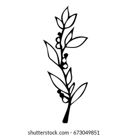 Branch with leaves on white background vector illustration. Doodle style. Design icon, print, logo, poster, symbol, decor, textile, paper, card. 