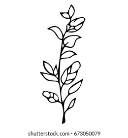 Branch with leaves on white background vector illustration. Doodle style. Design icon, print, logo, poster, symbol, decor, textile, paper, card. 