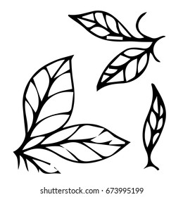 Branch with leaves on white background vector illustration. Doodle style. Design icon, print, logo, poster, symbol, decor, textile, paper, card. 