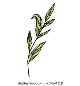 Branch with leaves on white background vector illustration. Doodle style. Design icon, print, logo, poster, symbol, decor, textile, paper, card. 