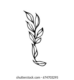 Branch with leaves on white background vector illustration. Doodle style. Design icon, print, logo, poster, symbol, decor, textile, paper, card. 