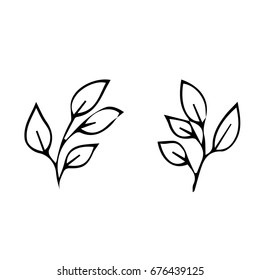 Branch with leaves on white background vector illustration. Doodle style. Design icon, print, logo, poster, symbol, decor, textile, paper, card. 