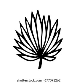 Branch with leaves on white background vector illustration. Doodle style. Design icon, print, logo, poster, symbol, decor, textile, paper, card. 