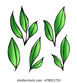 Branch with leaves on white background vector illustration. Doodle style. Design icon, print, logo, poster, symbol, decor, textile, paper, card. 