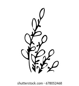 Branch with leaves on white background vector illustration. Doodle style. Design icon, print, logo, poster, symbol, decor, textile, paper, card. 