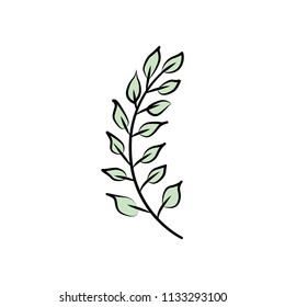 Branch with leaves ornament.