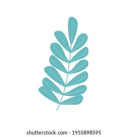 branch leaves plant isolated style