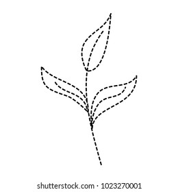 branch leaves plant natural botanical icon