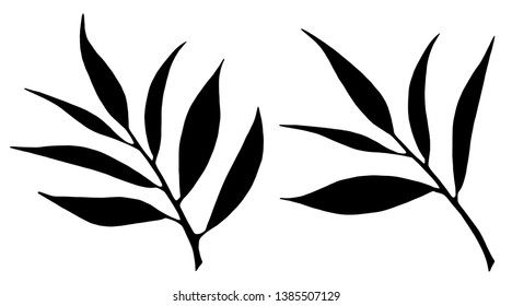 Branch with leaves, plants black silhouette set. Isolated on white background