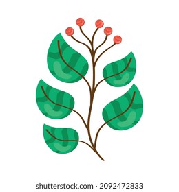 branch with leaves and seeds