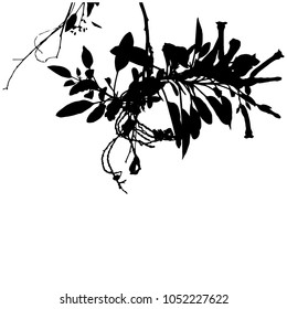 Branch with leaves. Silhouette. Isolated image on white background. Vector illustration. Card. Logo. Icon.