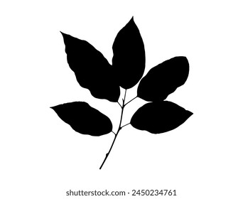 Branch with leaves silhouette vector art