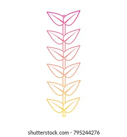 branch leaves stem bloom image