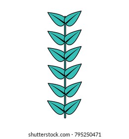 branch leaves stem bloom image