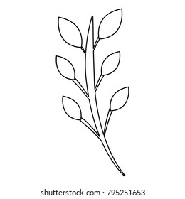 branch leaves stem bloom image