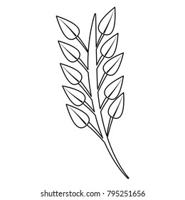 branch leaves stem bloom image
