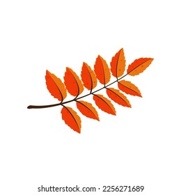 Branch with leaves sticker. Vector illustration of cute fall item. Cartoon leaves isolated on white background. Autumn decor concept