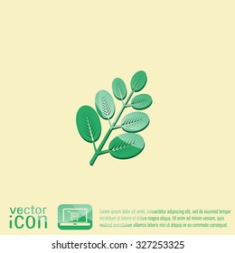 branch with leaves. the symbol of biology. symbol icon geometry. teaching natural history