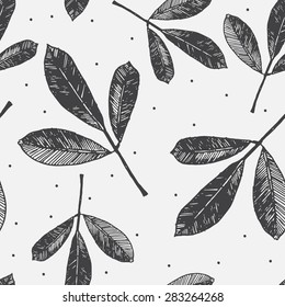 Branch with leaves, vector eps 10. Hand drawn illustration. Medicinal herbs