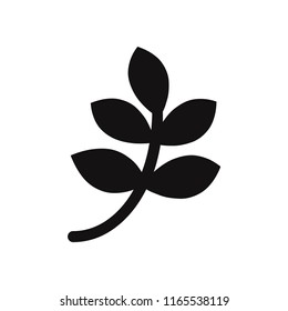 Branch with leaves vector icon