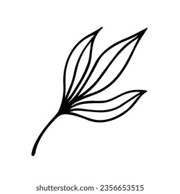 Una rama con icono vector de hojas. Una rama de un árbol salvaje o ajardinado, arbusto. Campo, hierba de prado. Doodle dibujado a mano, sketch botánico aislado. Clíparte floral. Borde negro para afiches, impresos, bodas