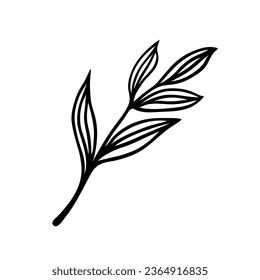 A branch with leaves vector icon. A twig of a forest or garden tree, shrub. Field or meadow herb. Hand drawn doodle, isolated botanical sketch. Floral boho clipart. Black outline for posters, print