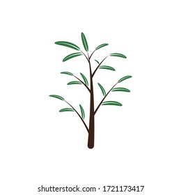 branch and leaves vector illustration