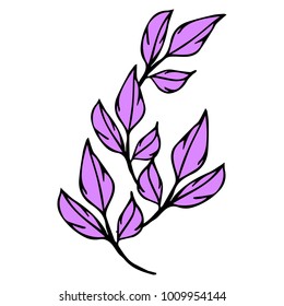 Branch with leaves vector illustration. Doodle style. Design, print, logo, decor, textile, paper.