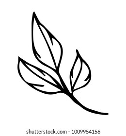 Branch with leaves vector illustration. Doodle style. Design, print, logo, decor, textile, paper.